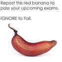 1479993511281s.jpg