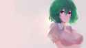 Kazami Yuuko.png