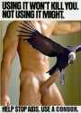 safecondor.jpg