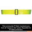 ptbelt.jpg