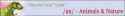 e6c2532892eb44fa00256018382edad98c399f0a.png