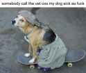 tumblr_od2rmzsbyZ1uy57v5o1_1280.jpg