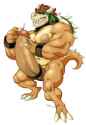 bowser3.jpg