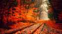 Railroad in Fall.jpg