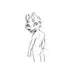 Cat.png