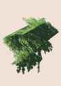 tree.gif