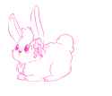 pinis.png
