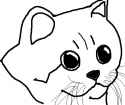 artfor4chan_derpcat.png