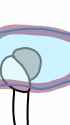 Rise from your form.png