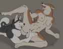 Furry Yiffy 1449866500.okana-tisky_slowly_caressed_sml_jpeg.jpg