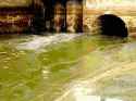 Sewer Water.gif
