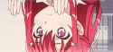-help-.png