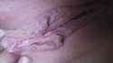 20161125_231117.jpg