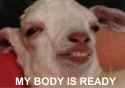 Body is Ready Dog.jpg