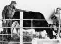UbreFidel-display.jpg