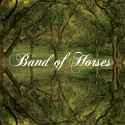 bandofhorses.jpg