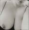 7053156.jpg
