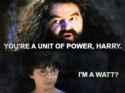 harrypotter.jpg