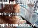cat-squirrel-sells-to-cat.jpg