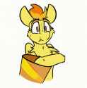 15.gif