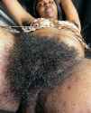 Fro.jpg