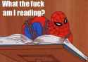 wtf_reading_Spider_Man_Meme-s500x368-196157.jpg