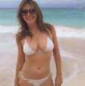 elizabeth-hurley-bikini04-480w.jpg