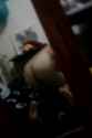 IMG-20161124-WA0014.jpg