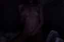 received_1142285159129002.jpg