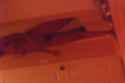 20161029_043537.png