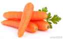 vegetable.jpg