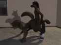 127642189342.gif