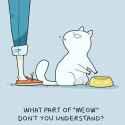 What part of Meow do you not understand.jpg