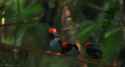 1365484049940.gif
