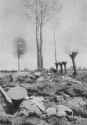 ActionatMons1914.jpg