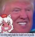 2323453453452345.jpg