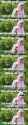 confused-muslim-girl-no-racism-implied_c_3416075.jpg
