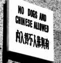 No Chinese.jpg