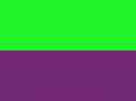 Green_and_purple_(horizontal)_v.2.png
