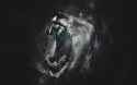 roaring-lion-digital-art-hd-wallpaper-1920x1200-3202.jpg