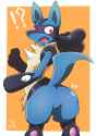 Lucario236.jpg