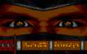 lastshot3.gif