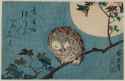 Japanese Traditional Painting Owl.jpg