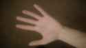 14802984609781544198385.jpg