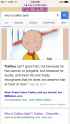 IMG_0602.png