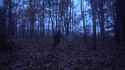 download_20161127_011536.gif