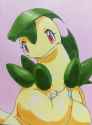 Bayleef16.jpg