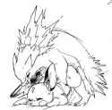 Raichu36.jpg