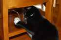 Image-1432374-230626897-4-WebLarge_0_8e5676cc8625d5175fd1079f025d4405_1.jpg