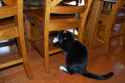 Image-1432374-230626906-3-WebLarge_0_2844847da491dfd1b5d909f0dd061636_1.jpg